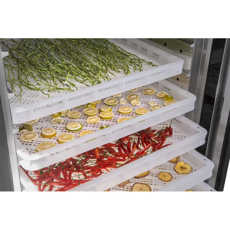 35 to 55 Degree Drying Machine - đánh giá và giá Commercial Food Dehydrator