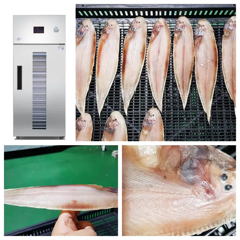 35 to 55 Degree Drying Machine - đánh giá và giá Commercial Food Dehydrator